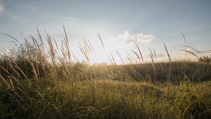 Fototapeta premium Capturing Nature: Ideal Light During Dawn and Dusk