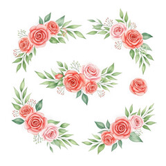 Watercolor pink rose floral arrangements isolated on transparent background