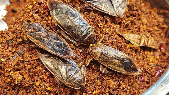 Horseshoe crab chili paste