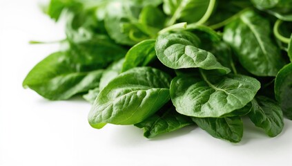 Fototapeta premium Heap of vibrant young spinach leaves on a white backdrop, close-up view