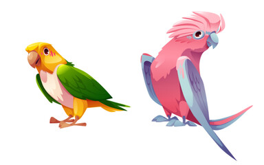 Two Cute Colorful Parrots Cartoon Vector Illustration