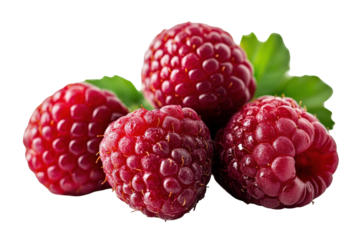 Glossy red berries showcasing vibrant color and texture isolated on a white background ideal for food graphics or design projects
