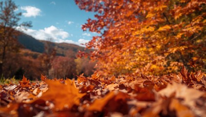 Autumn foliage close-up with colorful leaves in a mountainous setting