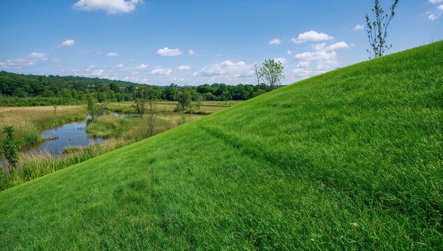 The hydroseeding technique employs grass to reinforce hillsides and control erosion, requiring little upkeep.