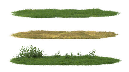 grass field isolate on a transparent background