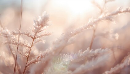 Naklejka premium Abstract soft color background with lens flare effect and unfocused blur