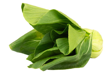 Fresh Taiwan bok choy isolated on white background