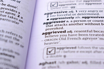 Fototapeta premium Close Up Of English Dictionary Page With Word - Aggressor