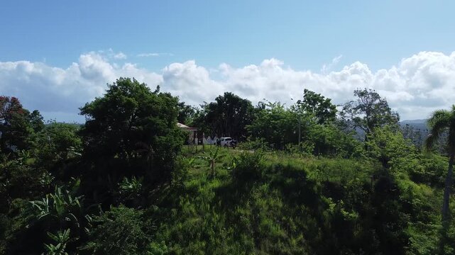 CORAZON DEL CAMPO DOMINICANO - GREEN