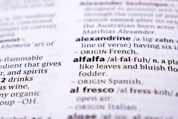 Fototapeta premium Close Up Of English Dictionary Page With Word - alflfa
