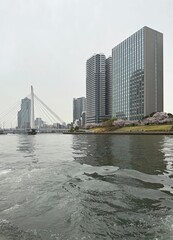 View of the city of Tokyo, Japan.
Tokyo Harbour Bridge 