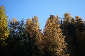 swiss national park - parc naziunal svizzer - Schweizerischen Nationalpark - val Trupchun