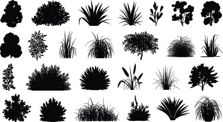 Plant and shrub silhouette vector set featuring diverse botanical shapes for garden design, landscaping, nature illustration, and decorative use.