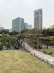 View of a city park with skyscrapers in the background in Tokyo, Japan