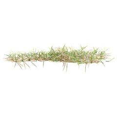 collection of grass with realistic style