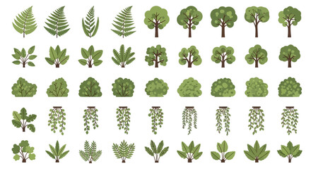 Assorted green foliage trees bushes  ferns arranged in rows on a white background