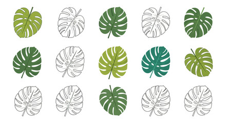 Assorted Monstera leaf illustrations some colored some outlines arranged in a neat grid on a white background