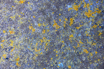 Close-up of a gray old stone slab. Natural texture background with a rough, structured surface and moss. Mineral stone with Rhizocarpon lichen. Full-size background. Template for designs or projects.