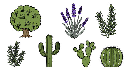 Botanical illustration of seven plants in a simplistic cartoonish style