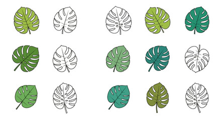 Collection of fifteen monstera leaf illustrations in varying colors styles and arrangements set against a plain white background