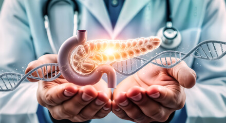 Doctor holding a 3d model of the pancreas and duodenum with a dna helix overlay, representing medical research and healthcare innovation