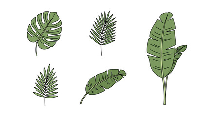 Five green tropical plant leaves including a Monstera isolated on a white background