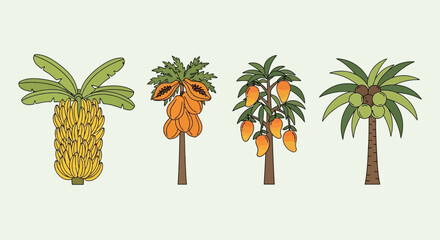 Four tropical fruit trees  banana papaya mango  coconut  are depicted against a plain background