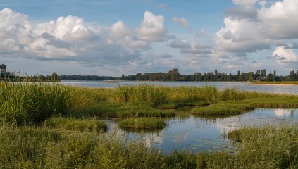Naklejka premium Scenic view of the coastal area featuring the Stuelper Huk near the Baltic shoreline
