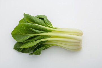 Chinese Cabbage Isolated on a Plain White Surface