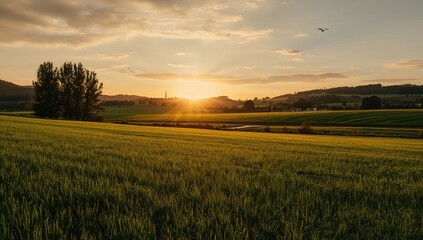 Obraz premium Tranquil rural landscape with vibrant green meadow during sunset
