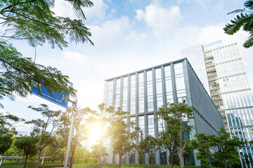 Green plants outside the office building