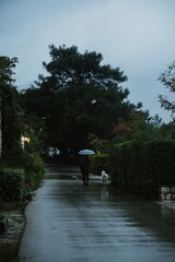 Fototapeta premium Man walking dog in rain