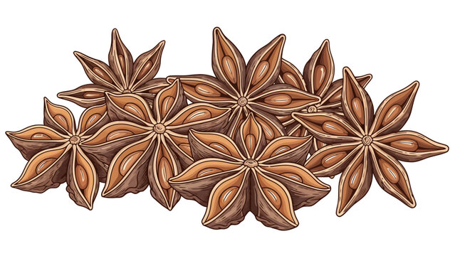 A cluster of brown star anise pods on a white background