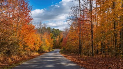 Fototapeta premium Pathway Through Vibrant Fall Woods