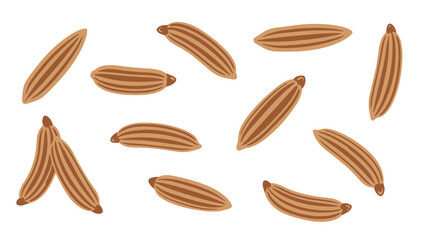 Obraz premium A scatter of brown caraway seeds on a white background