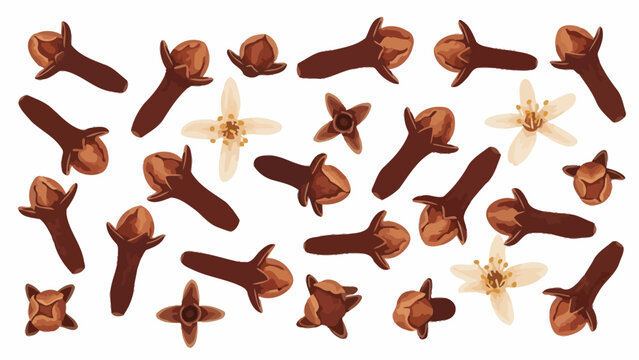 A scattered arrangement of whole cloves and clove flowers on a white background