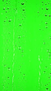 Atmospheric Window Overlay with water rainfall rain drops falling on glass over chroma key green screen distortion, overlay, glitch, static noise, scan lines black background, 4k animated video loop