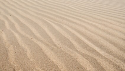 Obraz premium Texture of sandy terrain, background featuring a sand dune at the shore