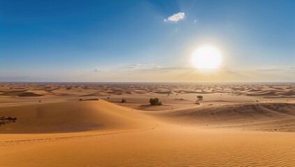 Desert dunes of the Arabian Peninsula