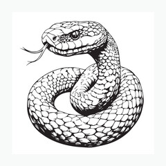 Fototapeta premium rattlesnake on a white background