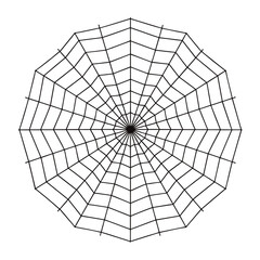Obraz premium Intricate Black Spiderweb Pattern with Radial and Spiral Threads.
