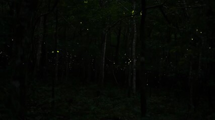 Forest at night with lights - Powered by Adobe
