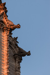 Detailed view of Notre-Dame de Paris at sunset, showing iconic gargoyles and Gothic architecture bathed in warm light. Symbol of French history, art, and heritage.