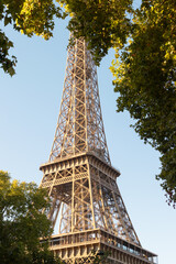 The Eiffel Tower framed by autumn trees in warm sunlight. Iconic Paris landmark surrounded by golden foliage, symbolizing romance, travel, and French elegance.