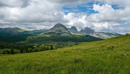 Obraz premium While trekking through the woods, we admired the breathtaking scenery featuring vibrant grassy plains, majestic mountains, and rugged summits beneath a sky filled with soft, billowy clouds creating a