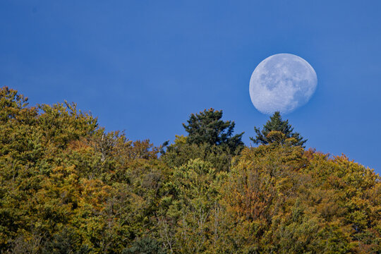 Clair De Lune Images – Browse 3,370 Stock Photos, Vectors, and