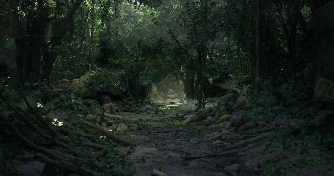 A serene forest path leads deeper into a lush green landscape, with sunlight gently illuminating the undergrowth and creating a tranquil atmosphere filled with greenery.