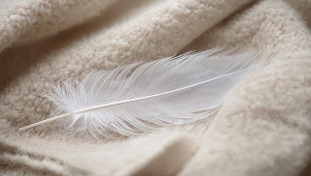 Gentle feather resting on warm knitted fabric, evoking calm winter vibes
