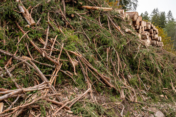 Deforestation and logging debris with fallen trees and branches in mountain forest area