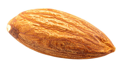A tan almond with textured surface, viewed close-up against a dark, contrasting background